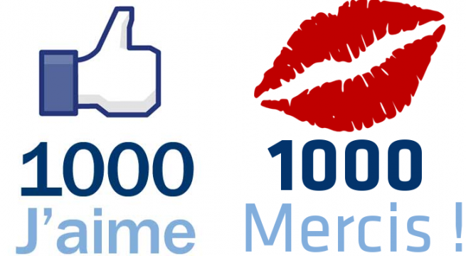 1REMERCIEMENTS-655x360.png