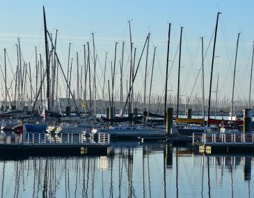 DSC_1656.jpg
